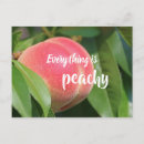 Search for everything postcards Summer