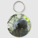 Search for racoon rounded key rings Animal