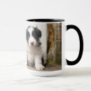 Search for border collie puppy mugs Pet