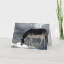 Search for burro cards Animal