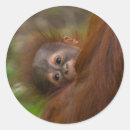 Search for having a baby stickers Cute