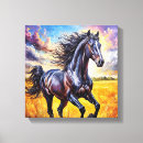 Search for black stallion canvas prints Equestrian