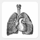 Search for heart anatomy stickers Lungs