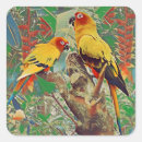 Search for parakeet stickers Pet bird