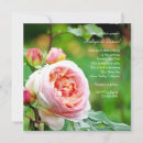 Search for english rose invitations Roses