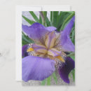 Search for purple flower blank cards Floral