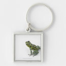 Search for darts key rings Reptiles