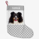 Search for white dog christmas stockings Paws