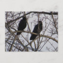 Search for bird tree postcards Animals