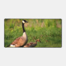 Search for geese mousepads Cute