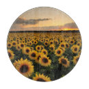 Search for sunflower chopping boards Yellow
