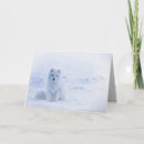 Search for white winter scene christmas cards Arctic fox
