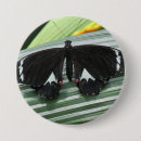 Search for wings butterfly badges Nature