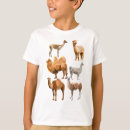 Search for camelid tshirts Llama