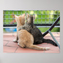 Search for images posters Friends