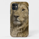 Search for panthera leo iphone cases Wildlife