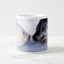 Search for seals mugs Wild animals