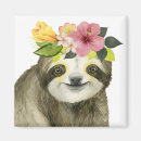 Search for sloth magnets Cute