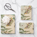 Search for caterpillar wrapping paper Butterflies