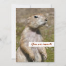 Search for rodent invitations Funny