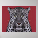 Search for animal faces posters Illustration