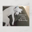 Search for holida cards Mum
