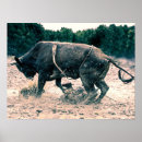 Search for black cowboy posters Bull