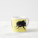 Search for beetle Entomology