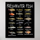 Search for species posters Freshwater