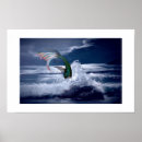 Search for seafoam posters Ocean