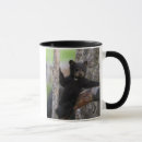 Search for bear cubs mugs Baby