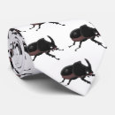 Search for beetle ties Entomology