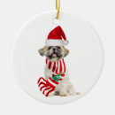 Search for shih tzu christmas tree decorations Xmas