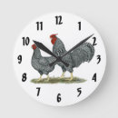 Search for chickens clocks Bird