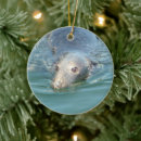 Search for seal christmas tree decorations Beach