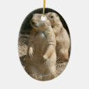 Search for prairie dog christmas tree decorations Rodent