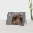 Search for dog 50th birthday cards Photography