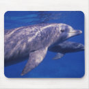 Search for roo mousepads Sea