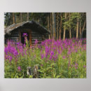 Search for tree trunk posters Wood