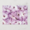 Search for birthday anniversary postcards Floral