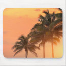 Search for florida vacation electronics Sea