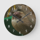 Search for sloth clocks Zoo