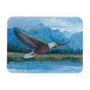 Search for wings rectangular magnets Animals