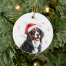 Search for bernese mountain dog christmas tree decorations Watercolor