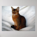 Search for cat silhouette posters Cute