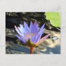 Search for birthday anniversary postcards Floral