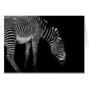 Search for equus Equine