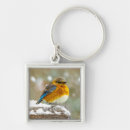 Search for bluebird key rings Songbird