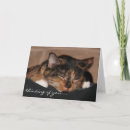 Search for cute kitten thinking of you cards Sweet