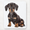 Search for wiener mousepads Puppy